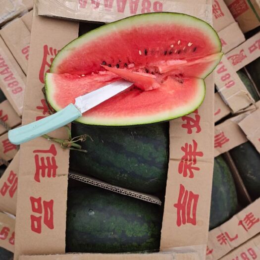 屏边县黑美人西瓜 大量供应黑美人，有需要的联系！