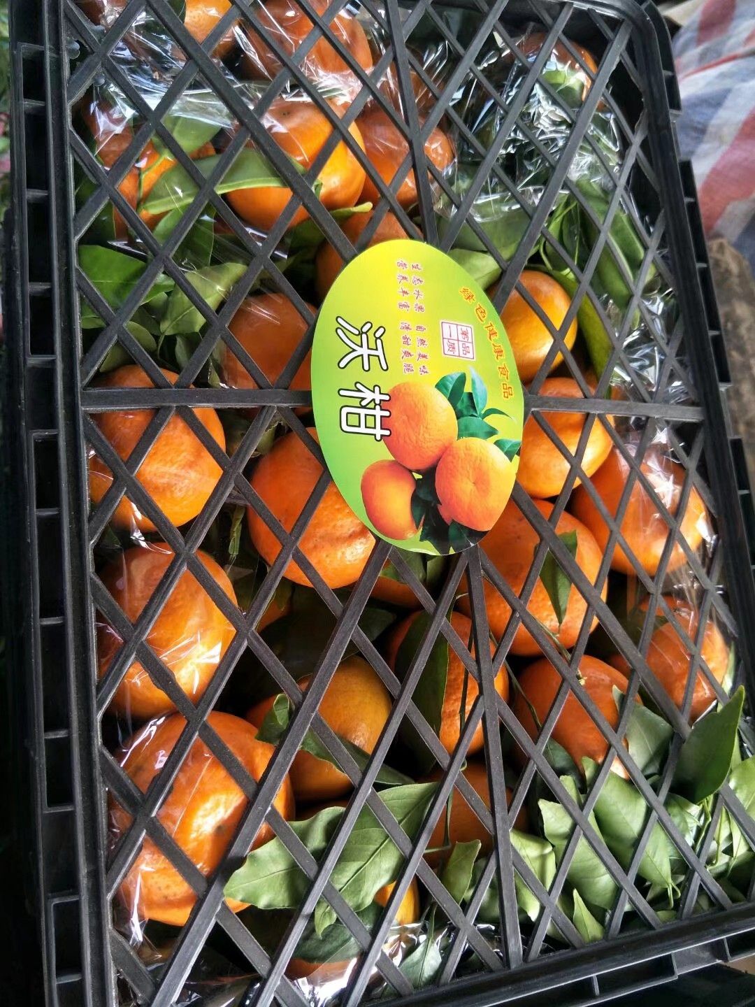 沃柑 云南高原沃柑  宾川沃柑产地代办 一手货源高回复率