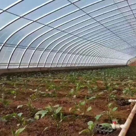 天津 大棚骨架，温室大棚，冷棚，养殖大棚