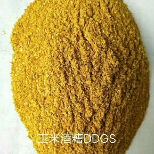 石家庄玉米酒糟