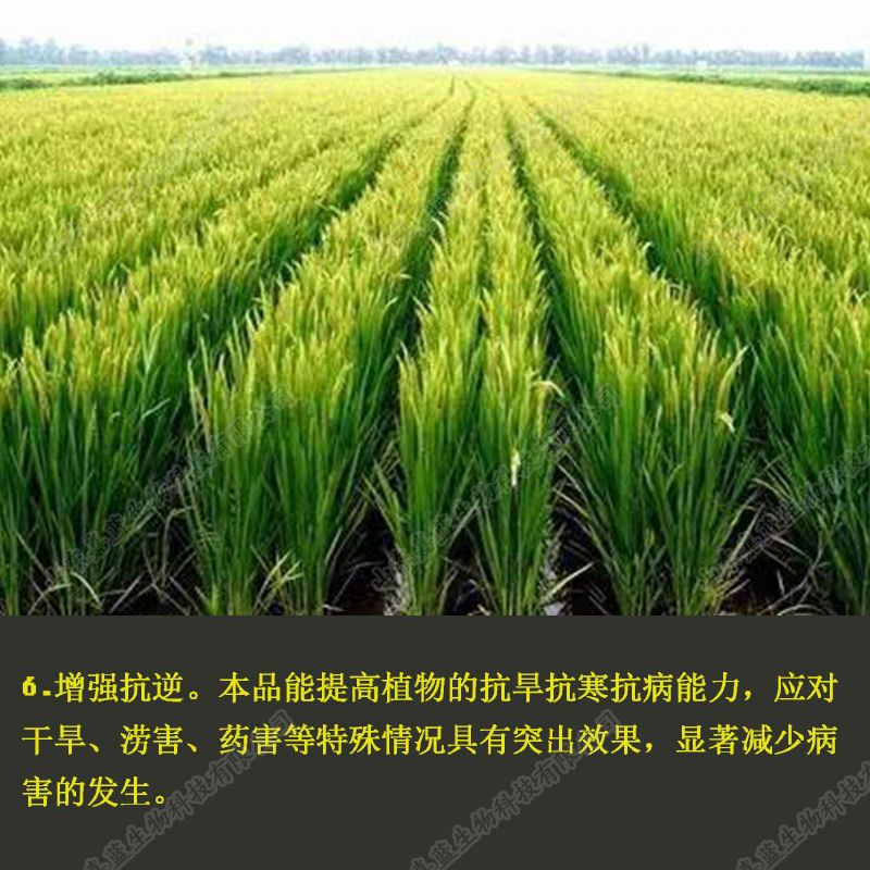 矿源黄腐酸钾水溶肥料 ***除盐碱 生根促长 促进膨果着色
