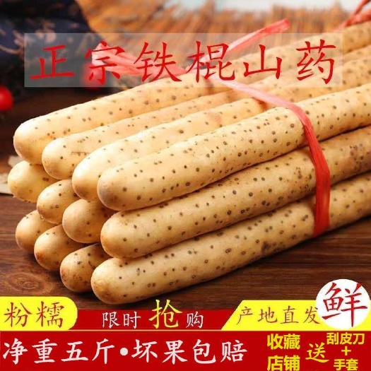 新鲜铁棍麻山药5斤淮山药 小白嘴铁杆白山药蔬菜多规格