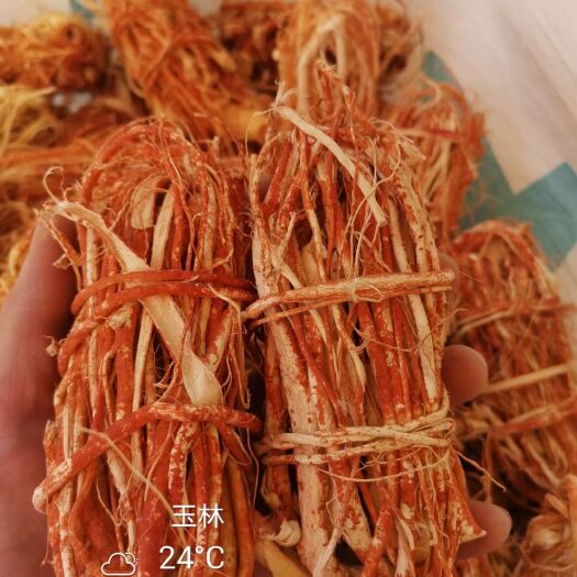 玉林五指毛桃 一手货源，量大优惠！