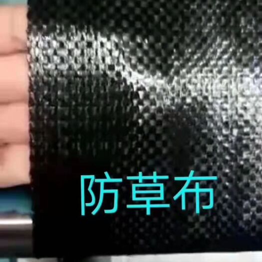 德州 绿源农用园艺大鹏除草地布黑色pp无纺除草地布多规格防草布批发