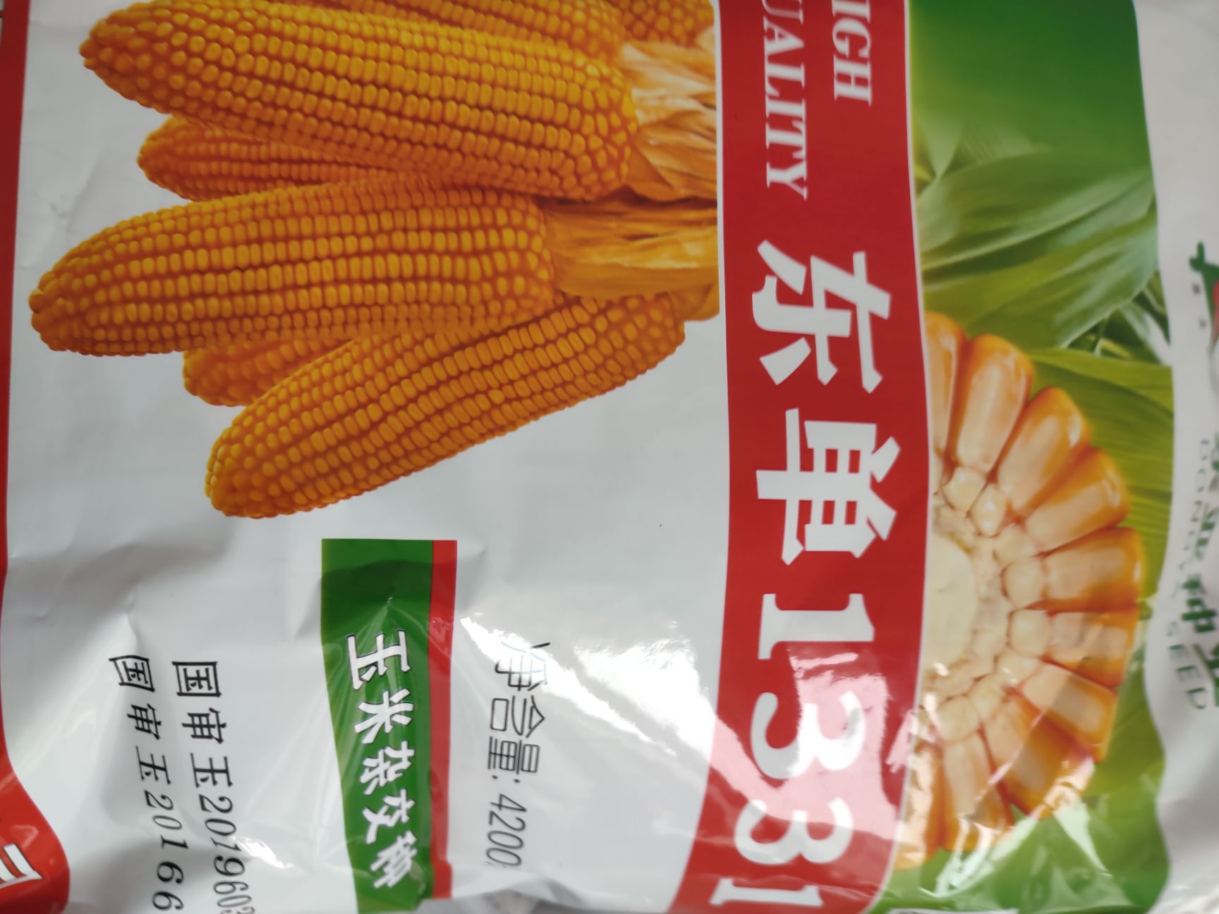 青县东单1331玉米种子 国审品种东单1331，综合抗性强