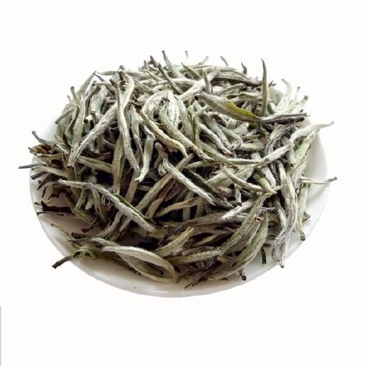 三江县新白茶 三江早春白茶