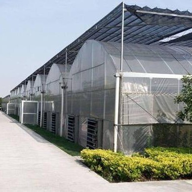青县大棚管  销售钢管大棚骨架。温室材料。配件。