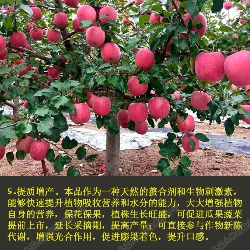 矿源黄腐酸钾水溶肥料 ***除盐碱 生根促长 促进膨果着色