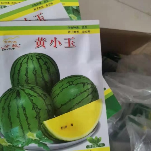 寿光市黄小玉/特小凤/小兰西瓜苗直播苗/嫁接苗
