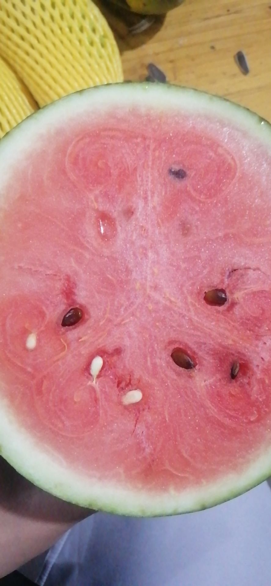 黑美人西瓜 越南黑美人