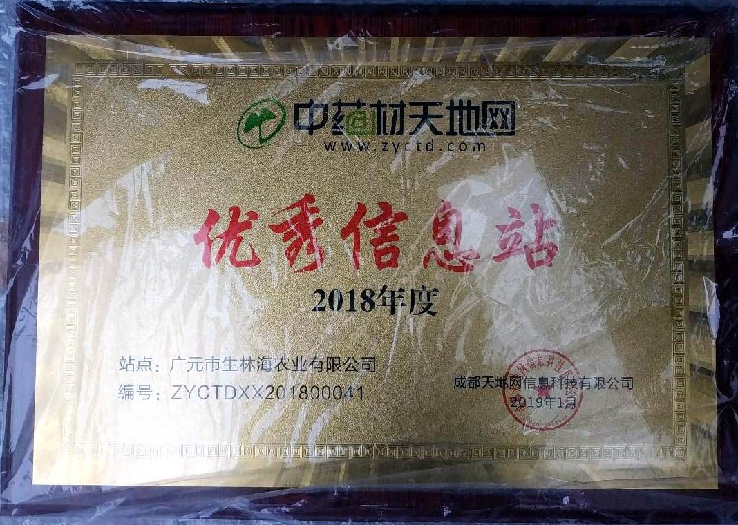 四川纯嘢生夏枯球统货，夏枯草摘的球，药性好是家种含量3-5倍
