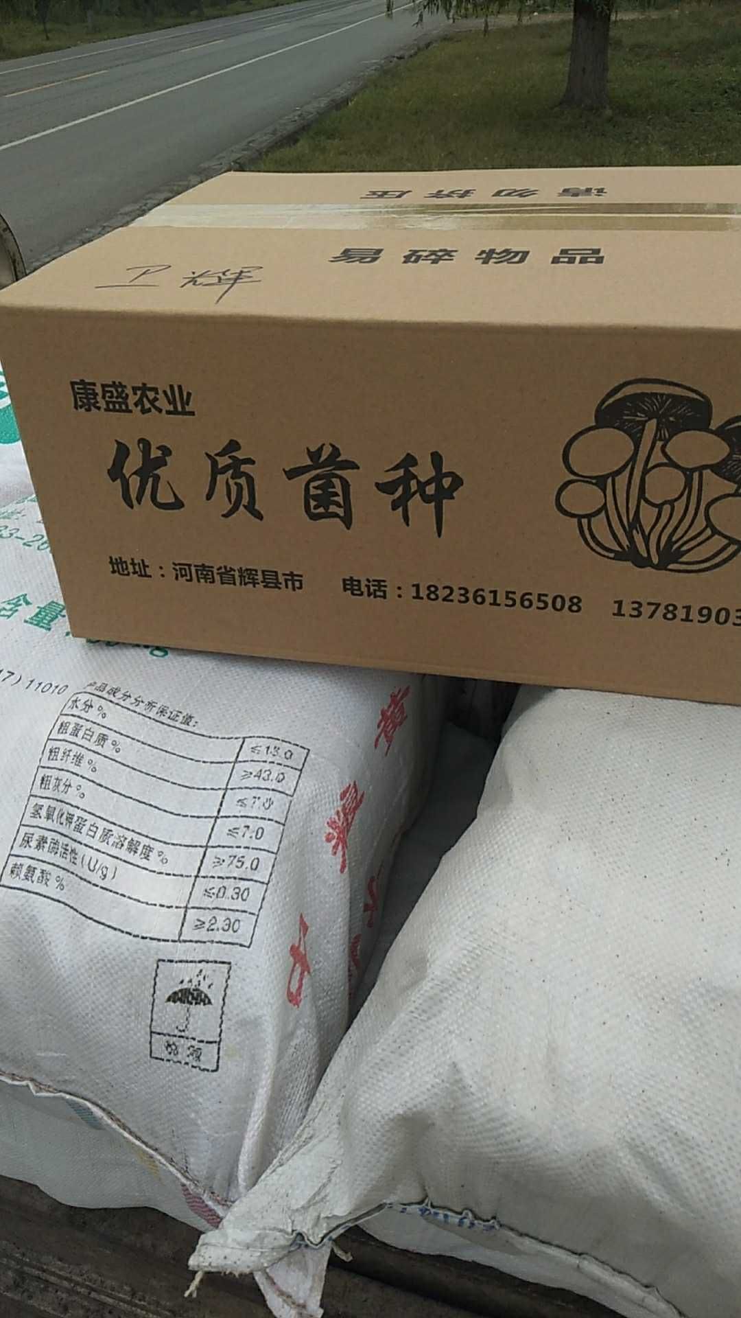 平菇菌种  平菇栽培种 高产品种 常年供应  发货