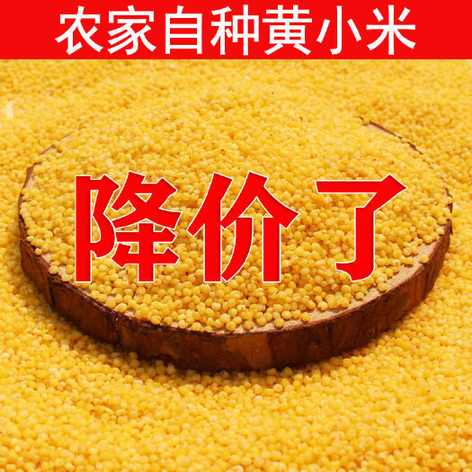 佳县米脂黄小米新米农家自产小米陕北小黄米杂粮粥包邮