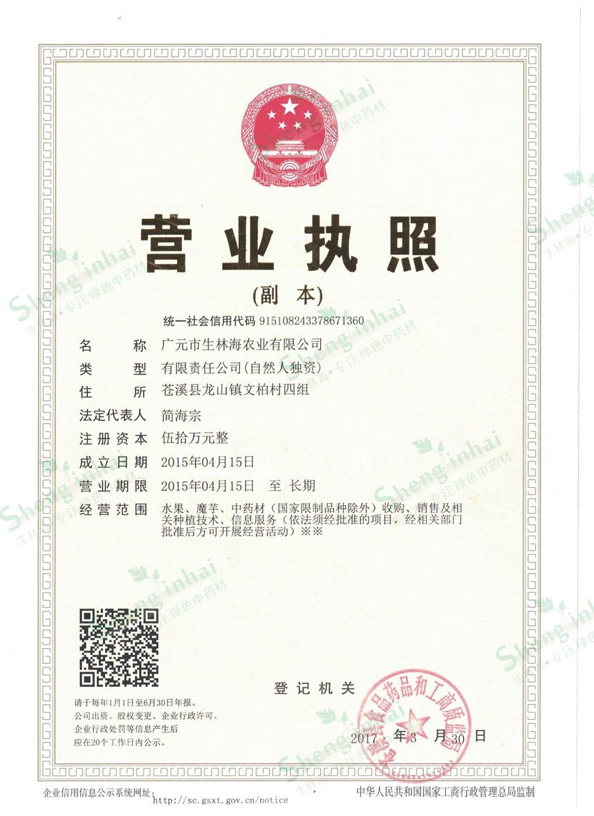 【深山天然采摘】产地直销菟丝子，四川大菟丝子，过风车净货。