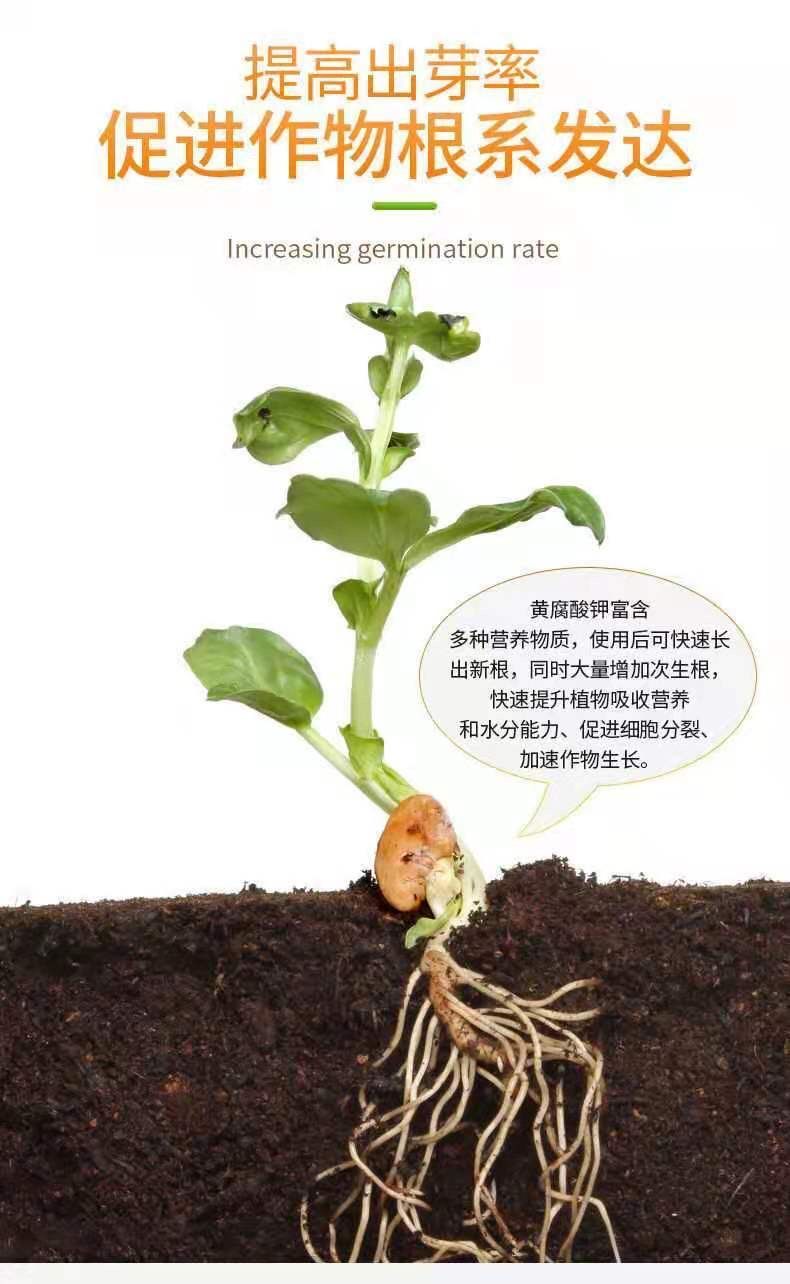 矿源黄腐酸钾水溶肥料 ***除盐碱 生根促长 促进膨果着色