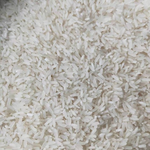 太湖县粳米  大米