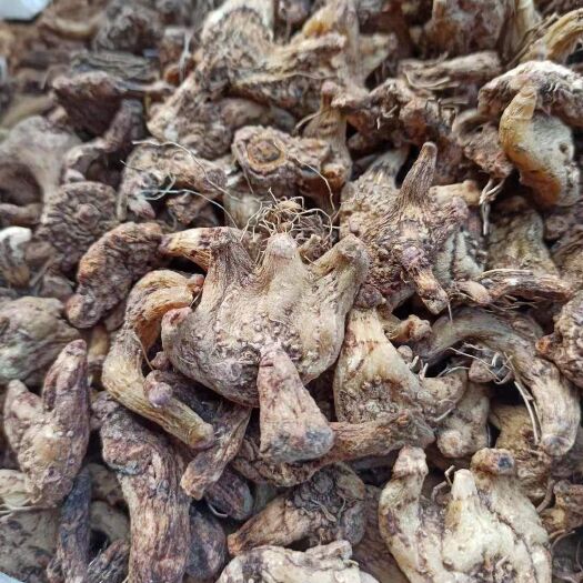 苍溪县【自家种植】四川紫花三叉白芨，无硫烘干，绝没有掺假，正品无硫