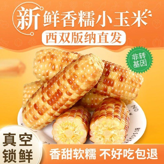 勐海县云南西双版纳香糯小玉米新鲜甜玉米粒粘玉米糯玉米棒苞米真空包装