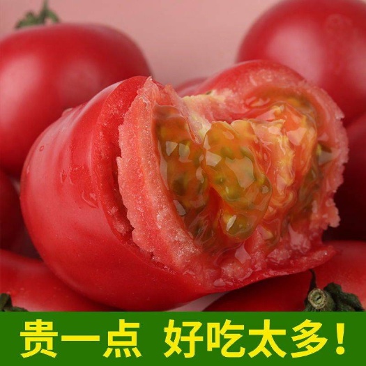普罗旺斯番茄  【超值包邮】西红柿新鲜蔬菜番茄水果自然熟沙瓤