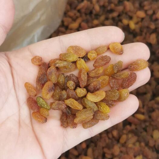 吐鲁番红葡萄干  精品免洗小颗粒红提干新疆吐鲁番市原产地直发
