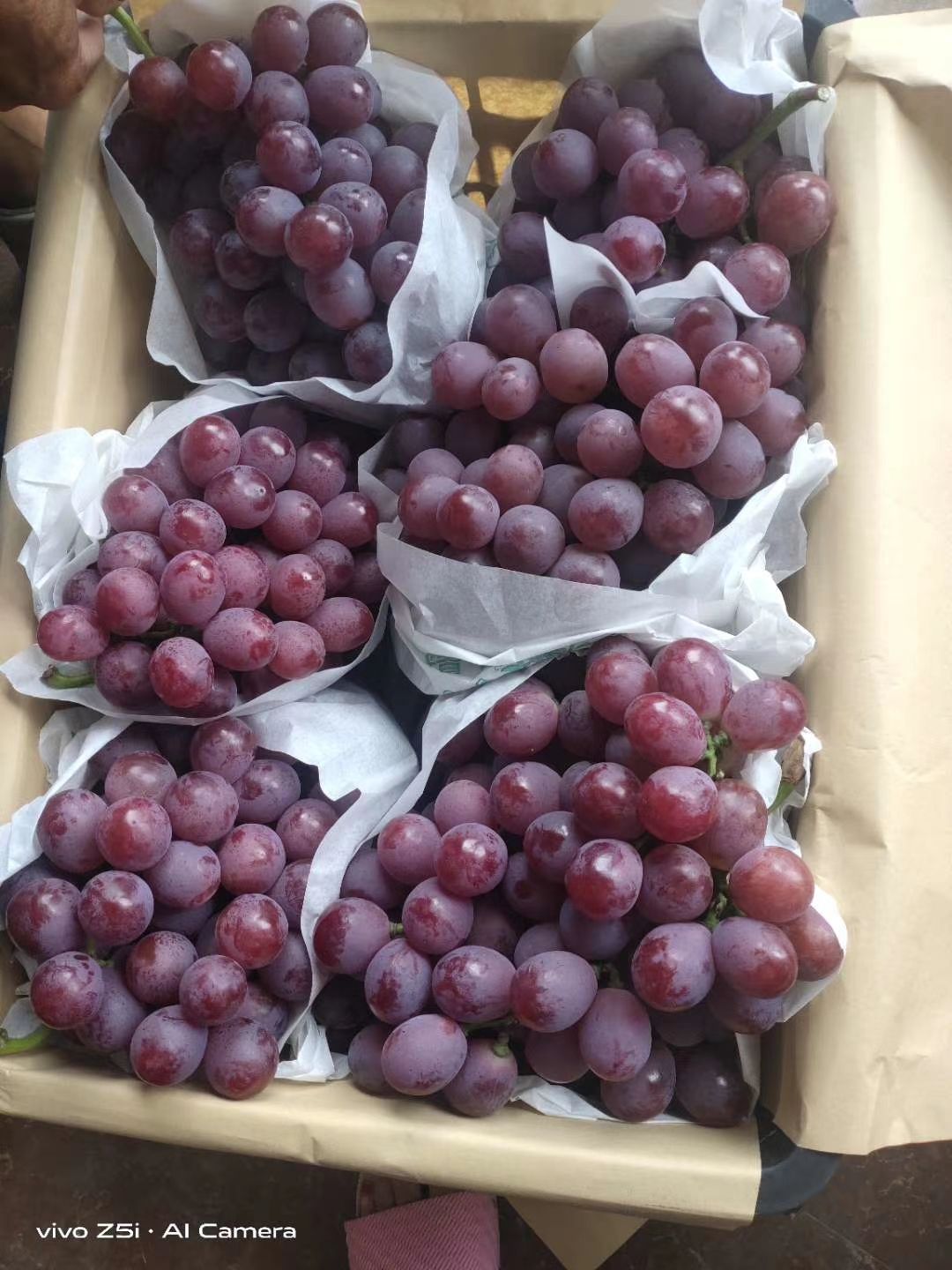 【产地直销】陕西红提葡萄汁多甜度高，耐运输，耐储存一条龙服务