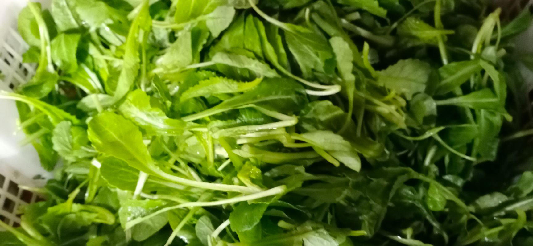 萝卜芽 各类火锅菜七八种，有需要的联系我！