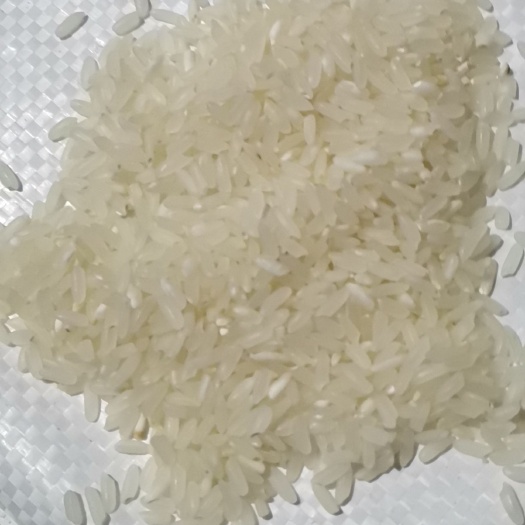 泰来县贡米 黑龙江省齐齐哈尔市泰来县 一等品 一季稻 粳米 