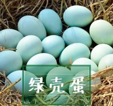 双峰县绿壳土鸡蛋    初生蛋