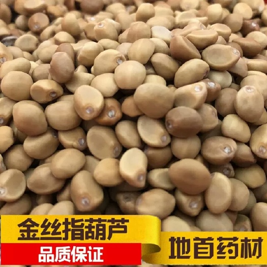 灵川县金丝指葫芦种子  金丝指葫芦2021  预订金丝指葫芦中药材