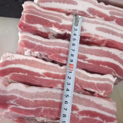 五花肉  西班牙655五花