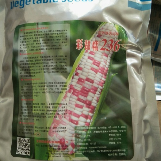 天津天贵糯932玉米种子 产量高皮色绿，米粒亮，米粒不易塌米，是市场和冷库都畅销的品种