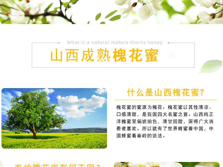  山西农家蜂蜜，槐花蜜枣花蜜支持一件代发，真品
