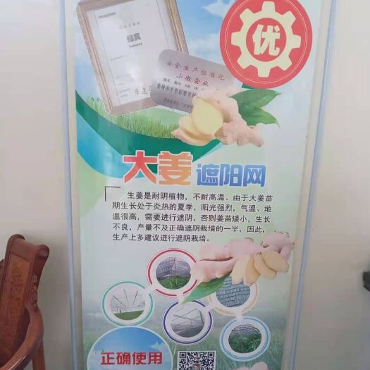 莱州市遮阳网 