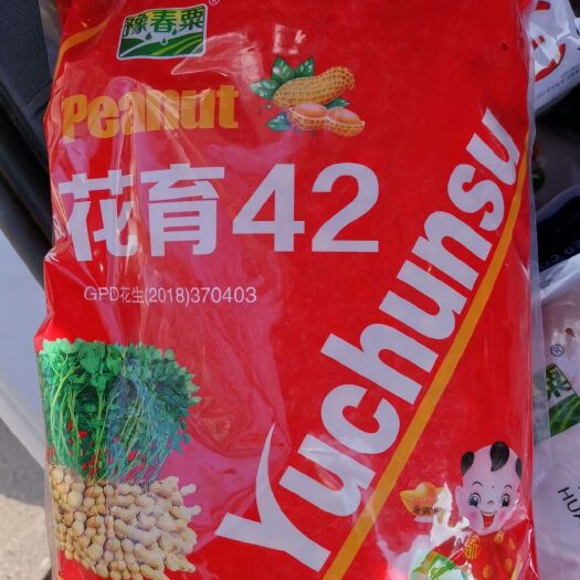 郑州花育42花生种子  花生米   手工剥米 芽率高
