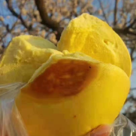 烟台馒头  黄金烤馍