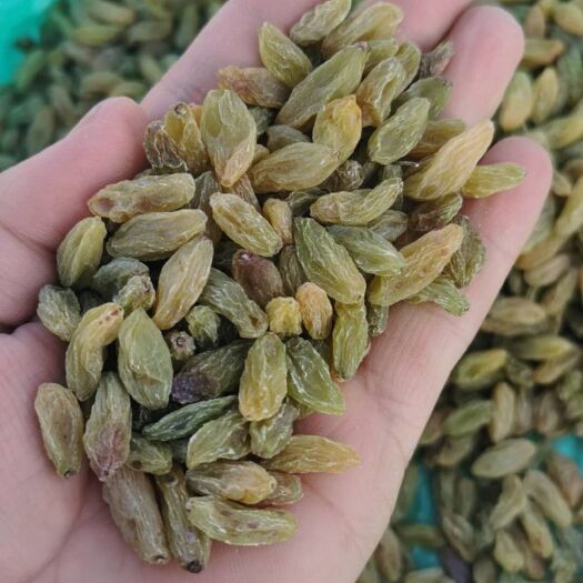 吐鲁番绿葡萄干  一手货源 大量供应