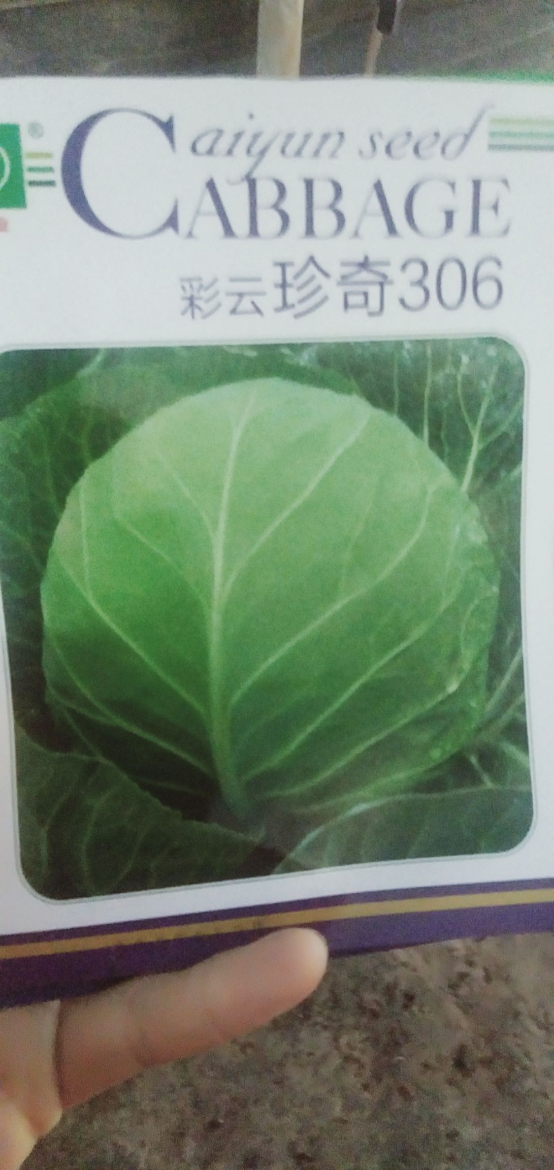 铁头苗， 扁包，圆包，苗肥壮，根细发达，带机质土，质量保证，