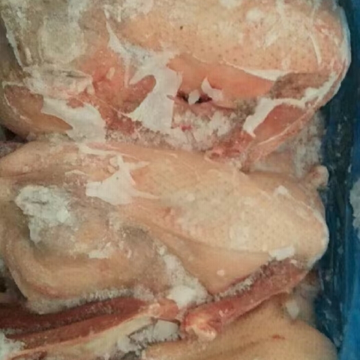 滨州鸭肉类 二级半片鸭