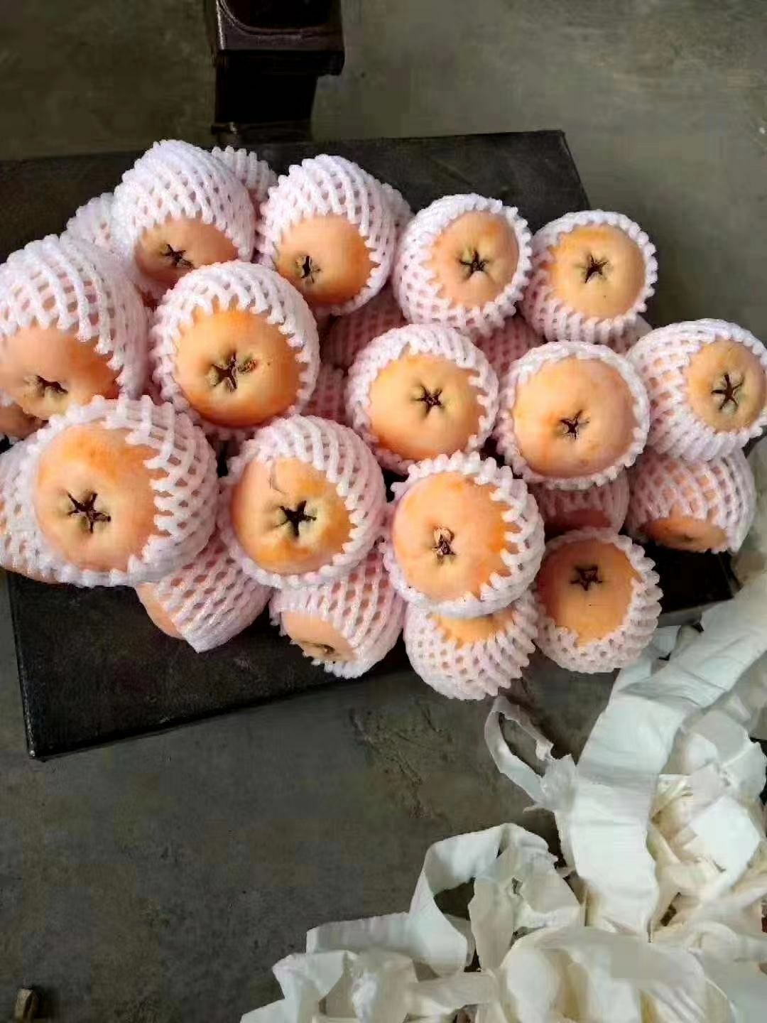 大五星枇杷 大凉山五星枇杷