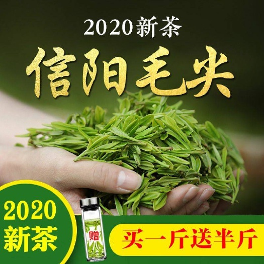 光山县毛尖茶  茶叶【买一斤送半斤】信阳毛尖2020新茶浓香型高山