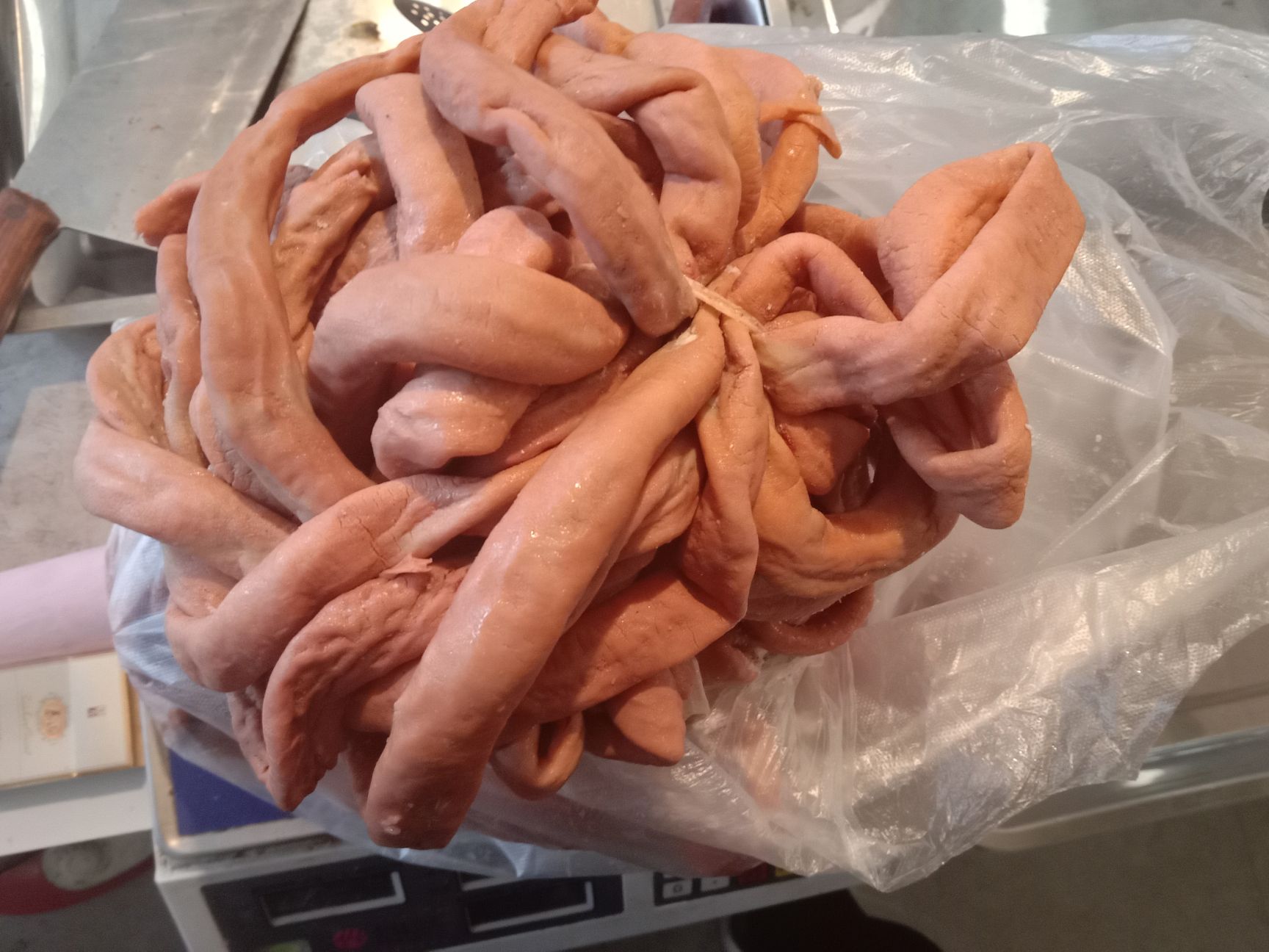 猪肠  纯干猪小肠   每天都有鲜货   全熟不需二次加工