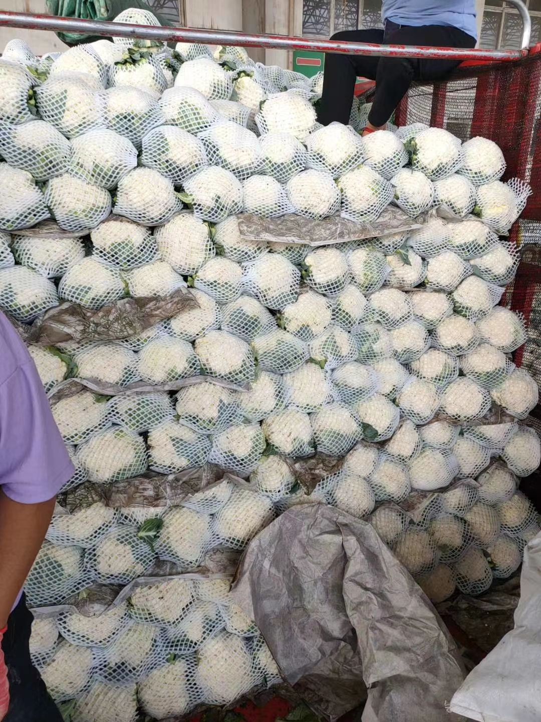 白菜花大量供应各大市场，超市，电商