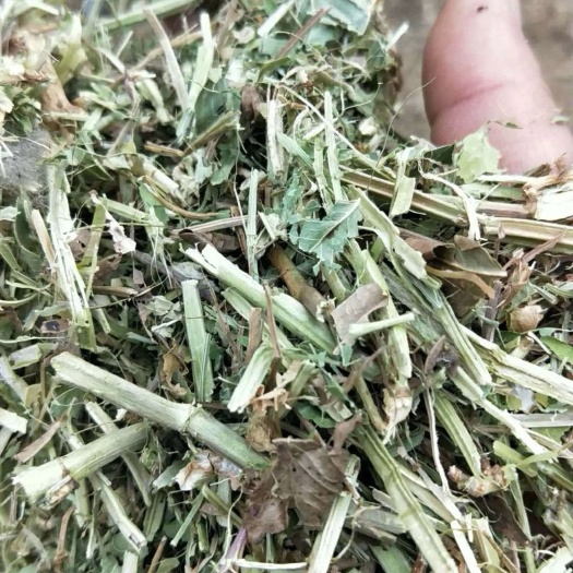 徐闻县 优质花生秧，牛羊养殖场