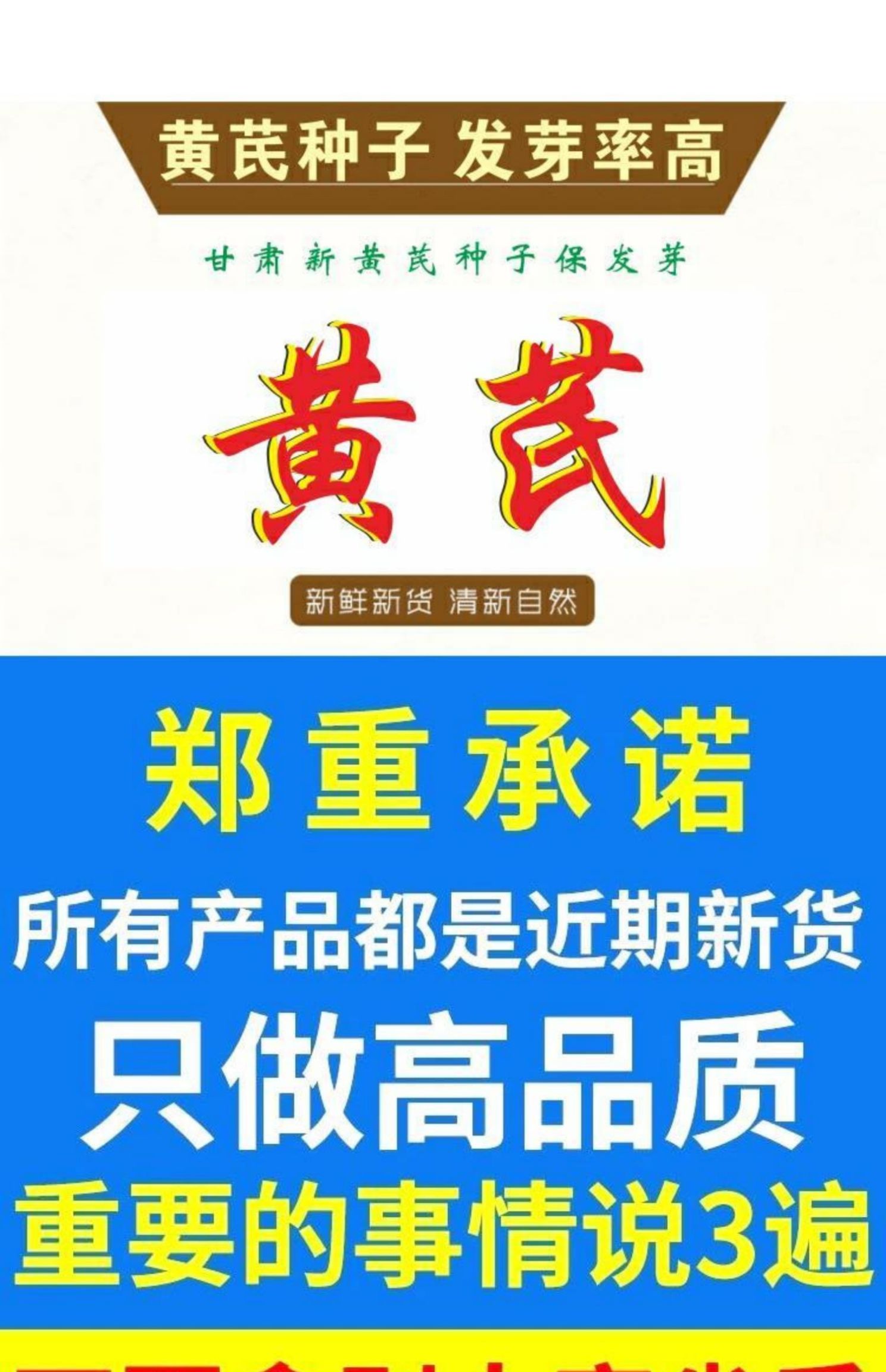 黄芪种子纯新铁杆黄芪籽棉秆黄芪子干净包发芽率500g克包邮