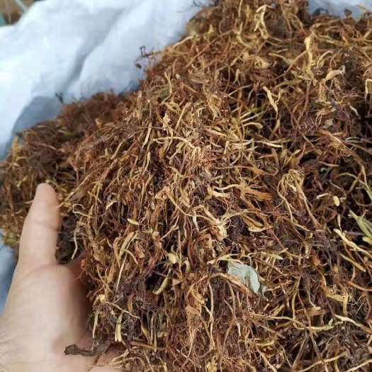 乐业县金银花根 金银花