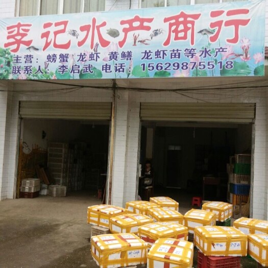 洪湖市湖北洪湖市小龙虾养殖基地直供鲜活小龙虾，品质保证，品种齐全