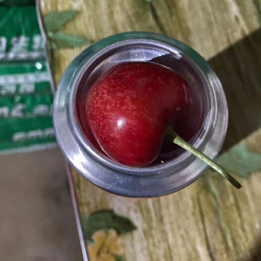 大连沙王樱桃苗 大连沙王大樱桃苗木培育基地终身技术指导