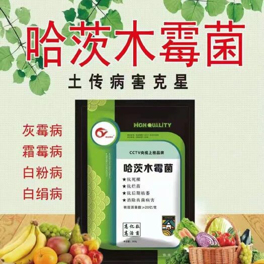 菌肥  哈茨木霉菌