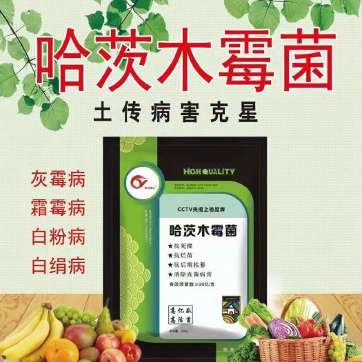 邯郸菌肥  哈茨木霉菌