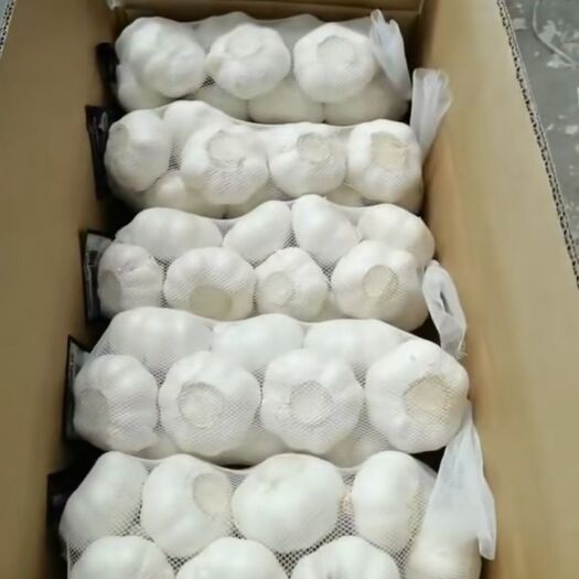 白皮蒜 山东省济宁市金乡县 混级统货 新蒜 库内蒜 干蒜